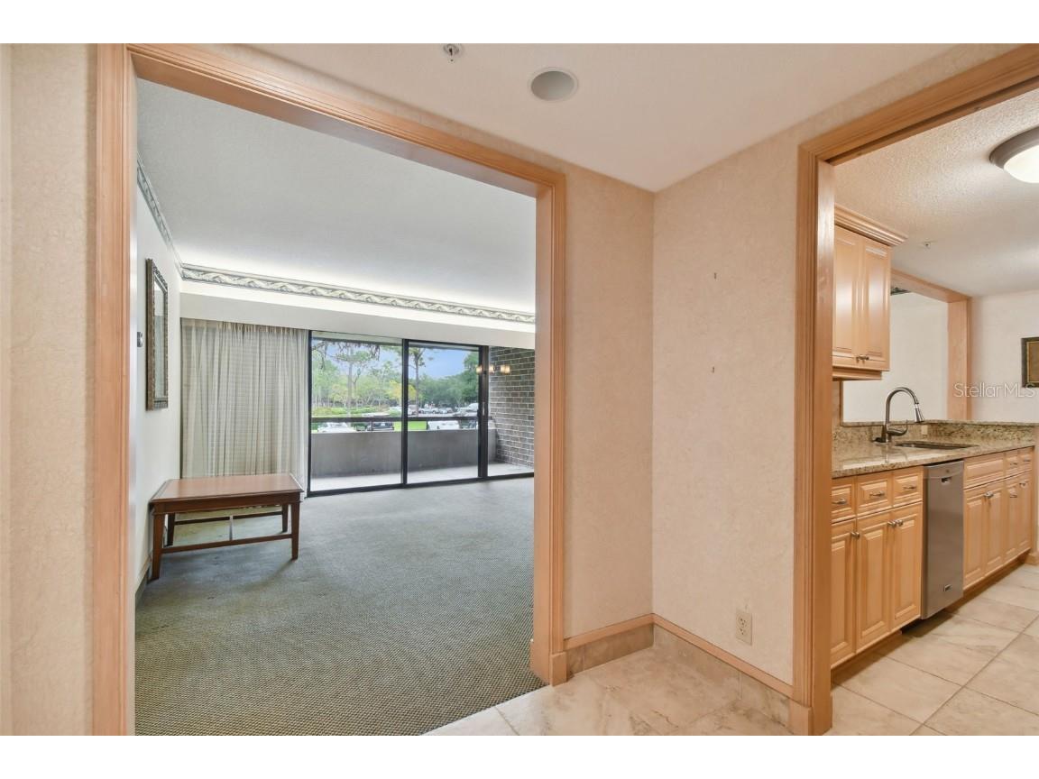 36750 Us Highway 19 N #22204 Palm Harbor FL 34684 U8237688 image7