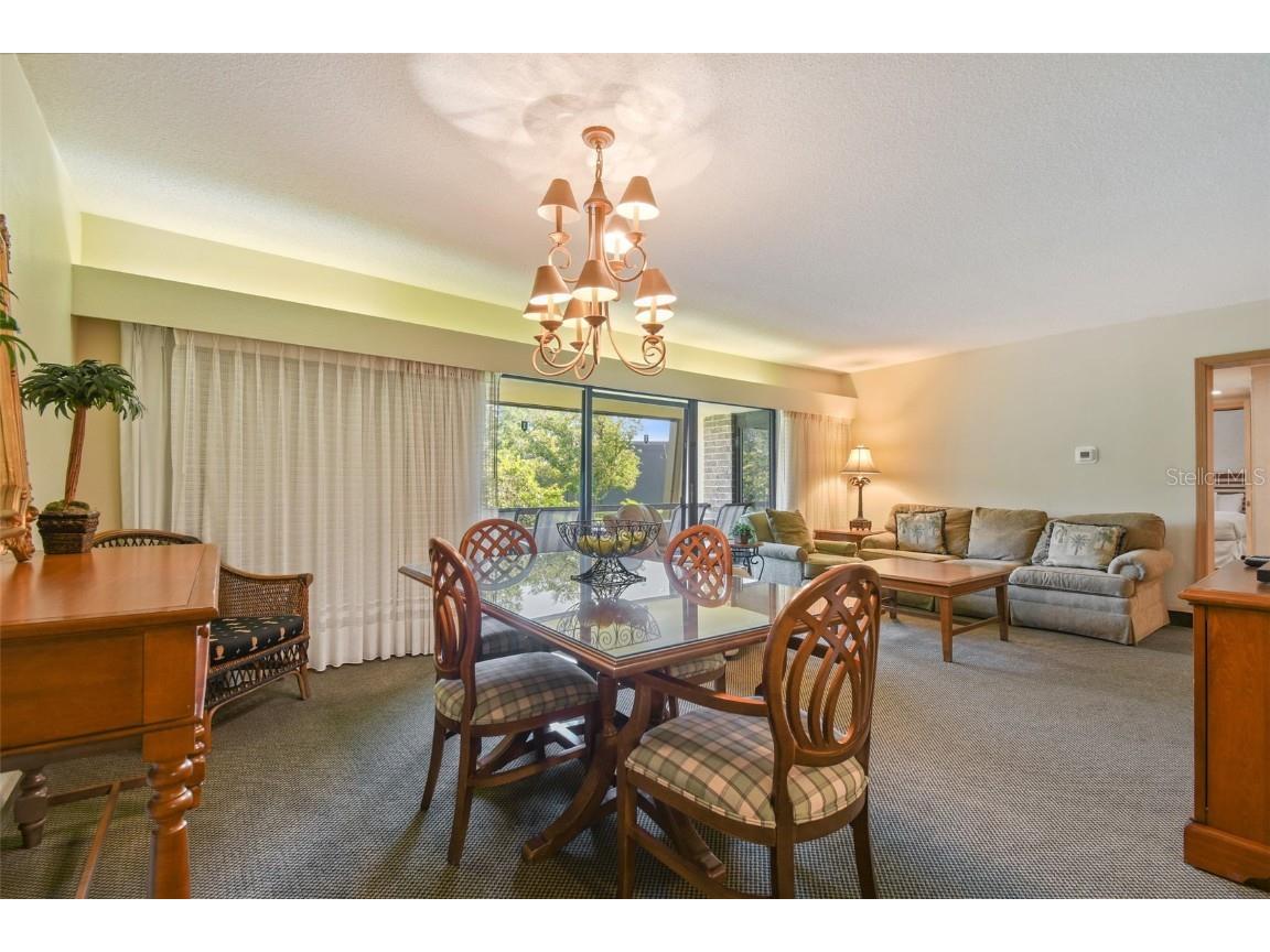 36750 Us Highway 19 N #22208 Palm Harbor FL 34684 U8242135 image11