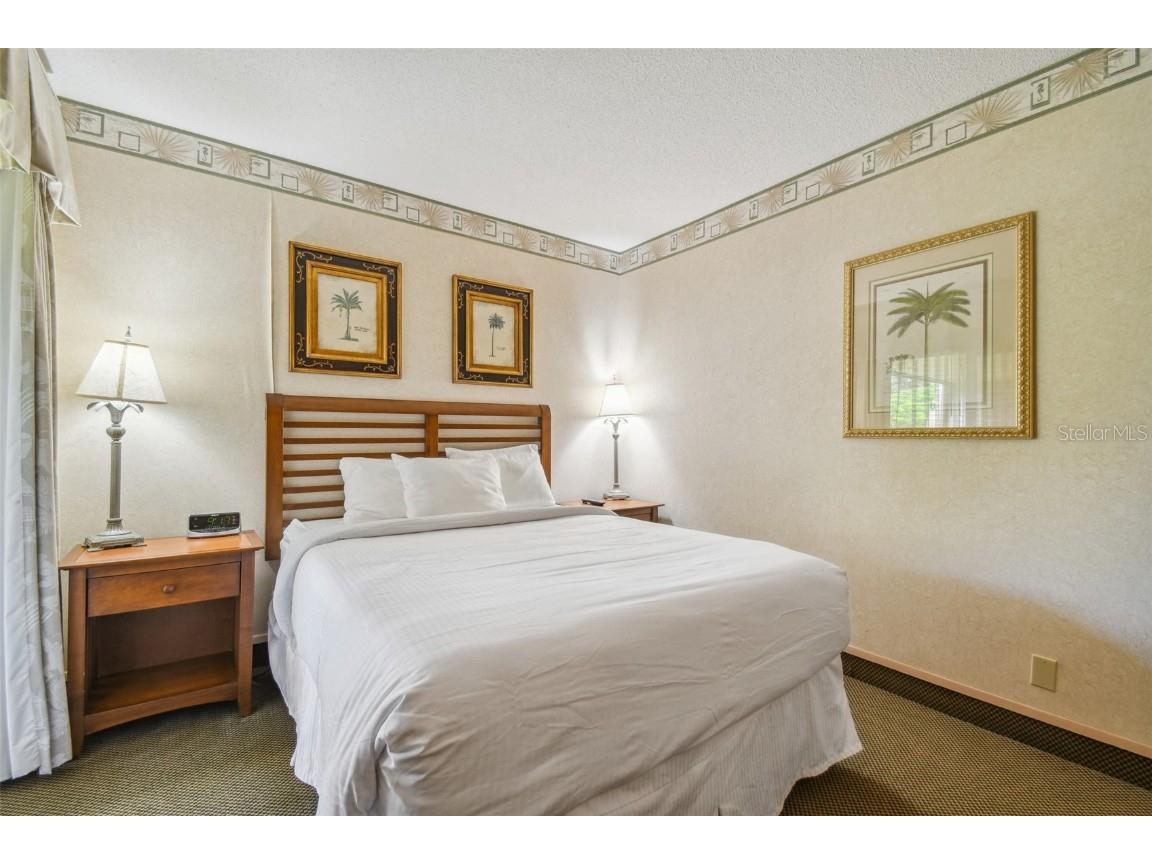 36750 Us Highway 19 N #22208 Palm Harbor FL 34684 U8242135 image18