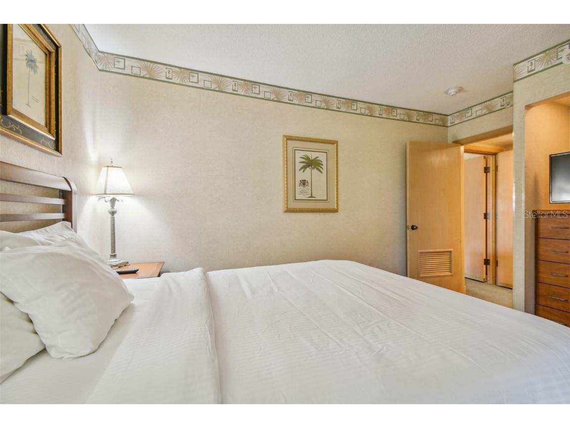 36750 Us Highway 19 N #22208 Palm Harbor FL 34684 U8242135 image19