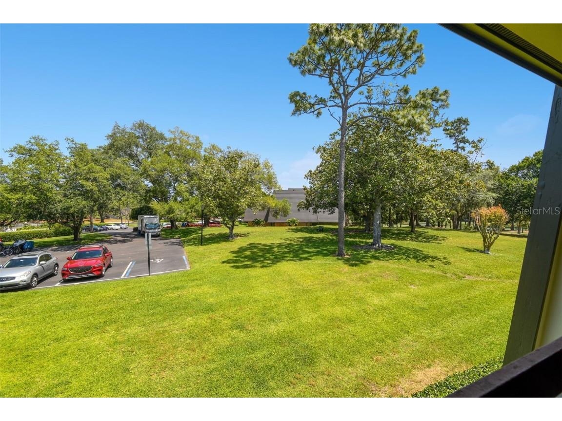 36750 Us Highway 19 N #22208 Palm Harbor FL 34684 U8242135 image3