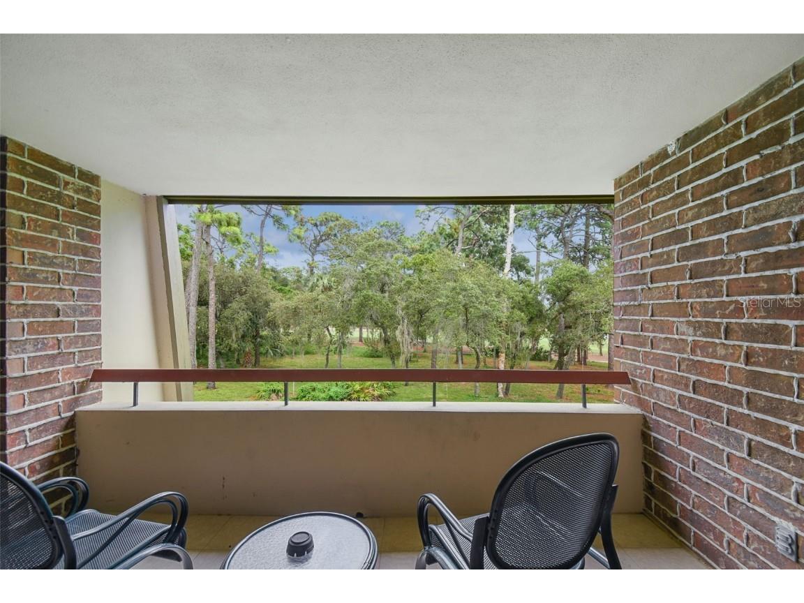 36750 Us Highway 19 N #24211 Palm Harbor FL 34684 TB8450374 image13