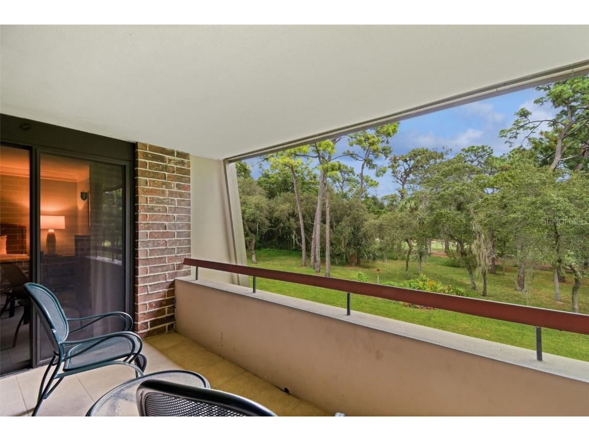 36750 Us Highway 19 N #24211 Palm Harbor FL 34684 TB8450374 image14