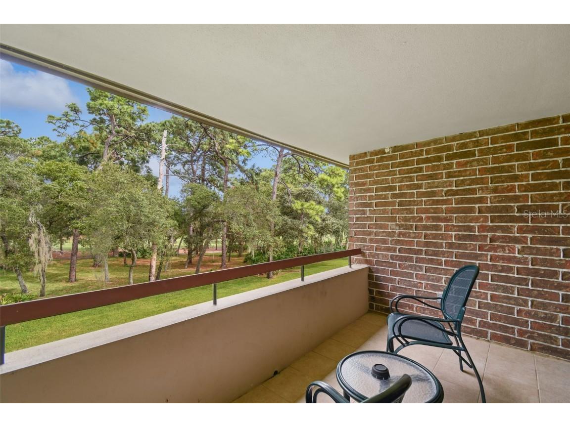 36750 Us Highway 19 N #24211 Palm Harbor FL 34684 TB8450374 image15