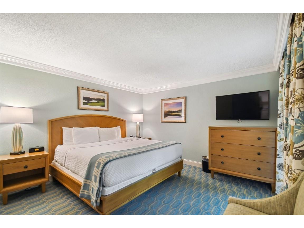 36750 Us Highway 19 N #24211 Palm Harbor FL 34684 TB8450374 image30