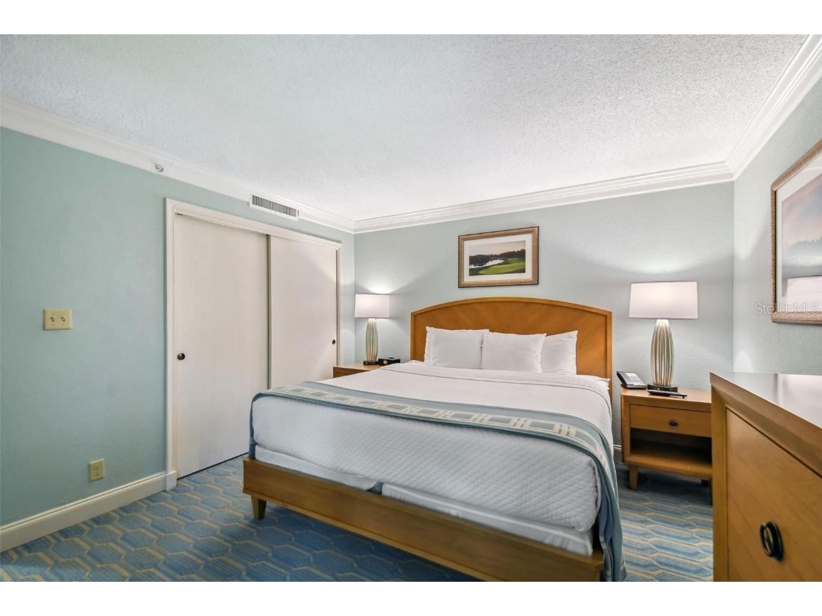 36750 Us Highway 19 N #24211 Palm Harbor FL 34684 TB8450374 image31