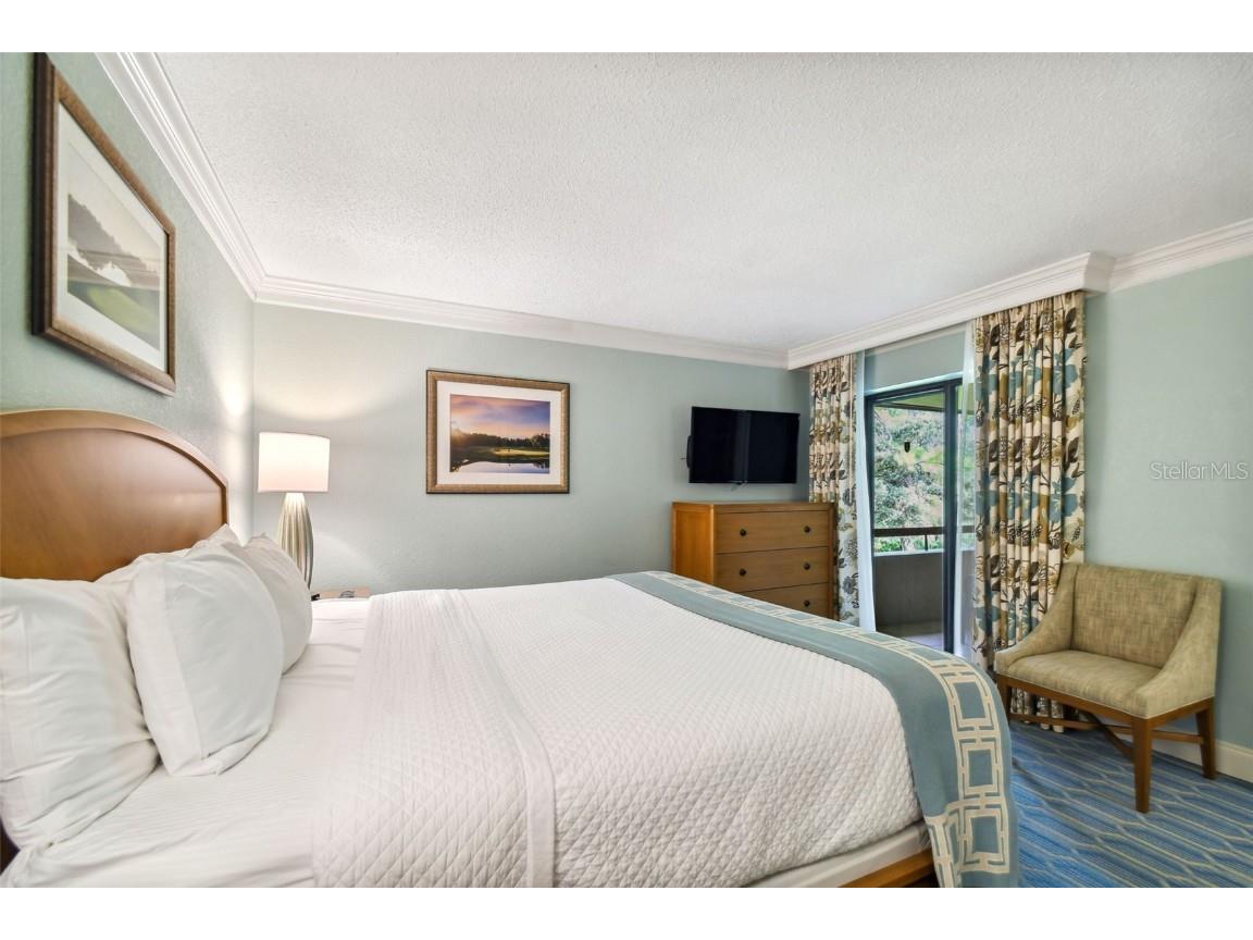 36750 Us Highway 19 N #24211 Palm Harbor FL 34684 TB8450374 image33