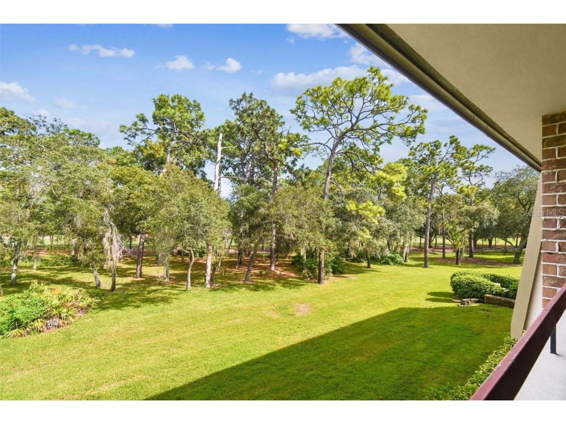 36750 Us Highway 19 N #24211 Palm Harbor FL 34684 TB8450374 image35