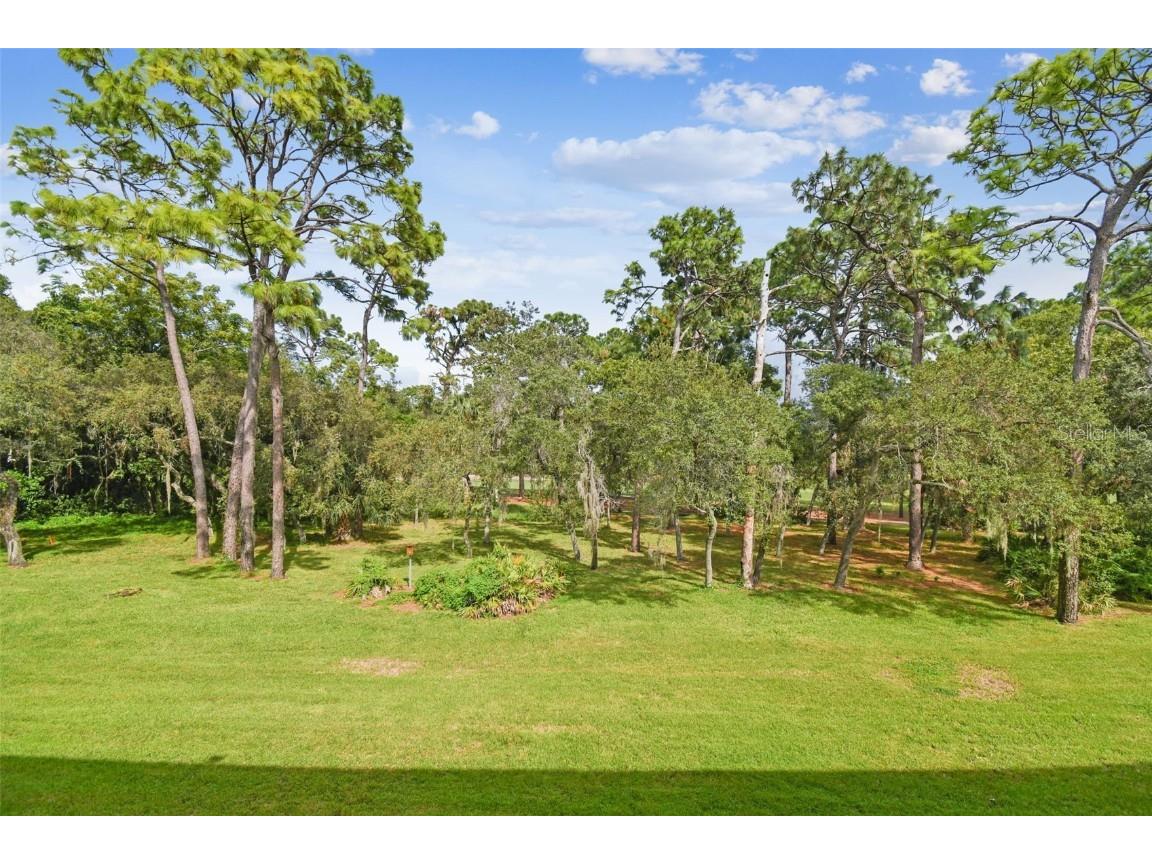 36750 Us Highway 19 N #24211 Palm Harbor FL 34684 TB8450374 image36