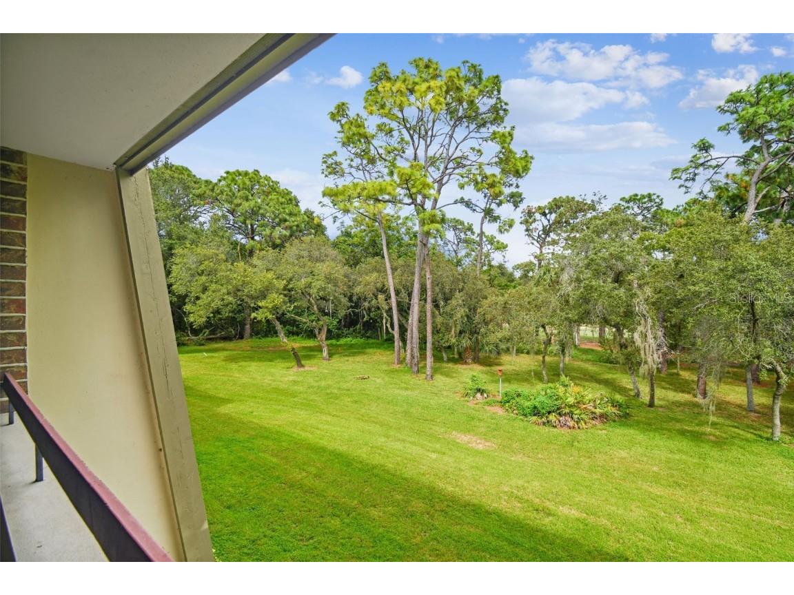 36750 Us Highway 19 N #24211 Palm Harbor FL 34684 TB8450374 image37