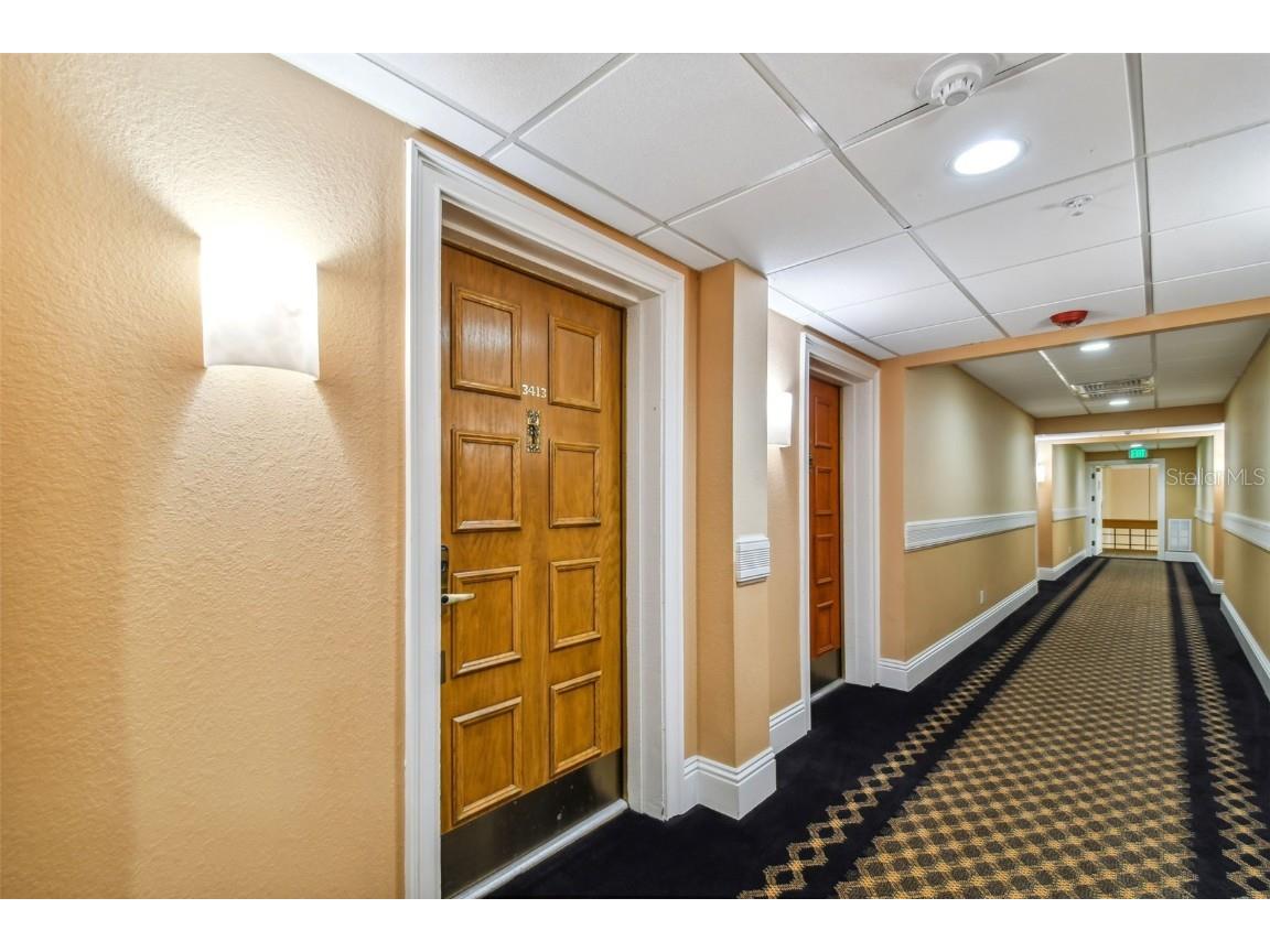 36750 Us Highway 19 N #24211 Palm Harbor FL 34684 TB8450374 image4