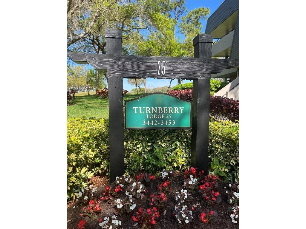 36750 Us Highway 19 N #25301 Palm Harbor FL 34684 U8240697 image1