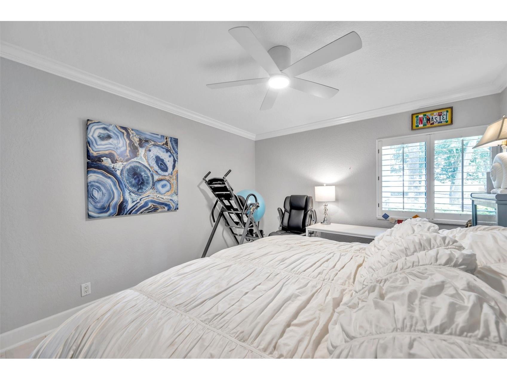 36750 Us Highway 19 N #27101 Palm Harbor FL 34684 TB8479187 image33