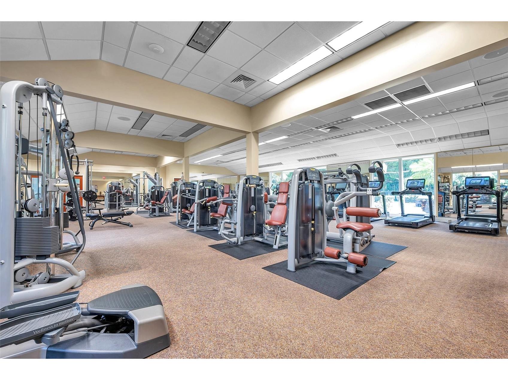 36750 Us Highway 19 N #27101 Palm Harbor FL 34684 TB8479187 image63