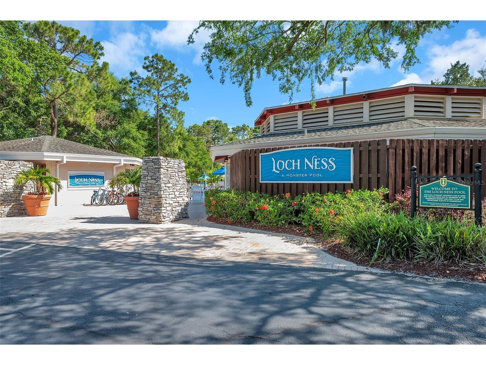 36750 Us Highway 19 N #27101 Palm Harbor FL 34684 TB8479187 image65
