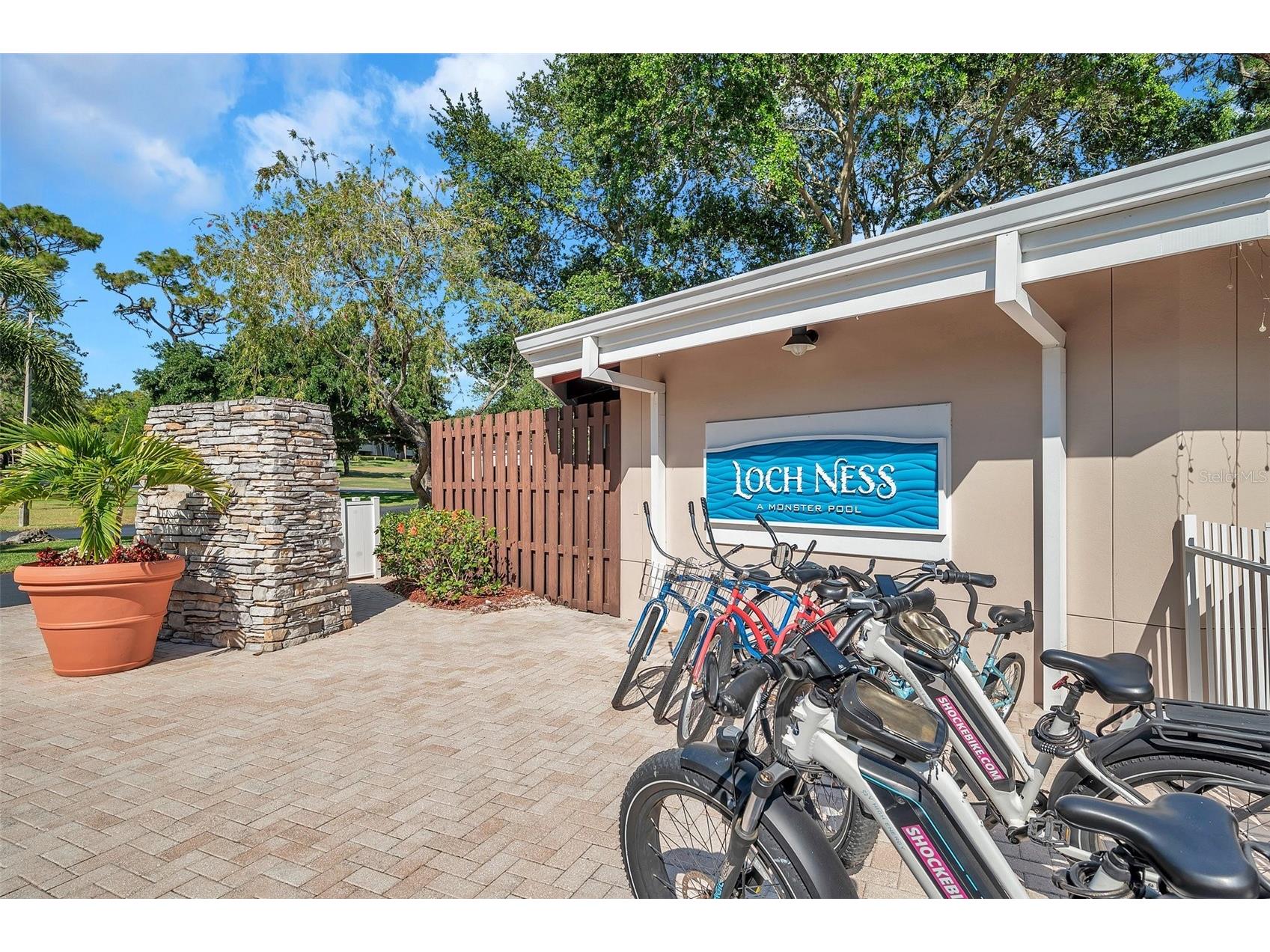 36750 Us Highway 19 N #27101 Palm Harbor FL 34684 TB8479187 image67
