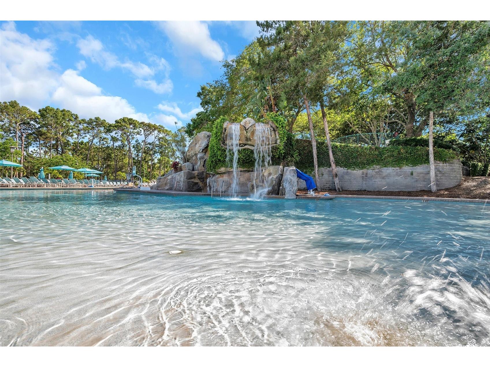 36750 Us Highway 19 N #27101 Palm Harbor FL 34684 TB8479187 image68