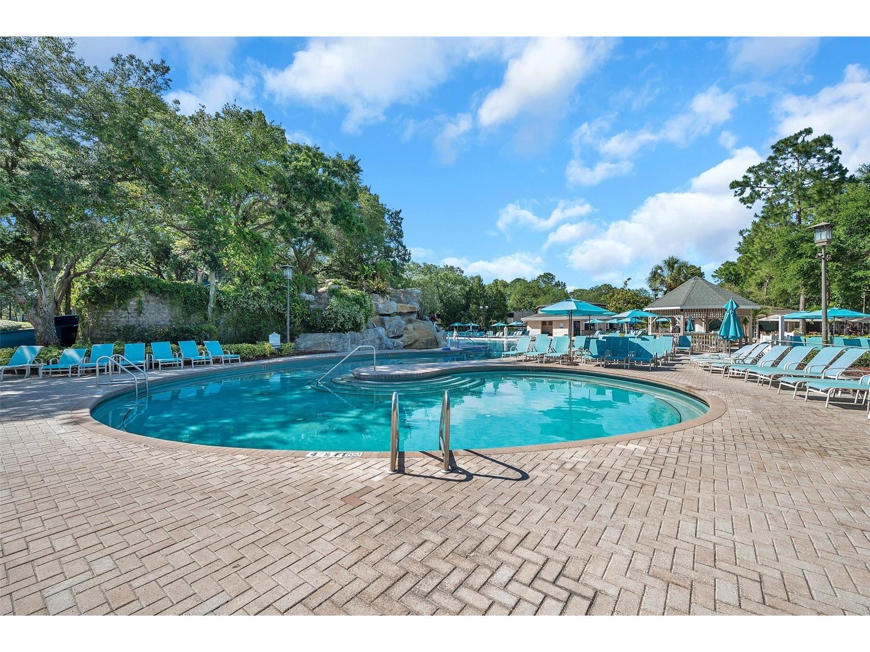 36750 Us Highway 19 N #27101 Palm Harbor FL 34684 TB8479187 image72