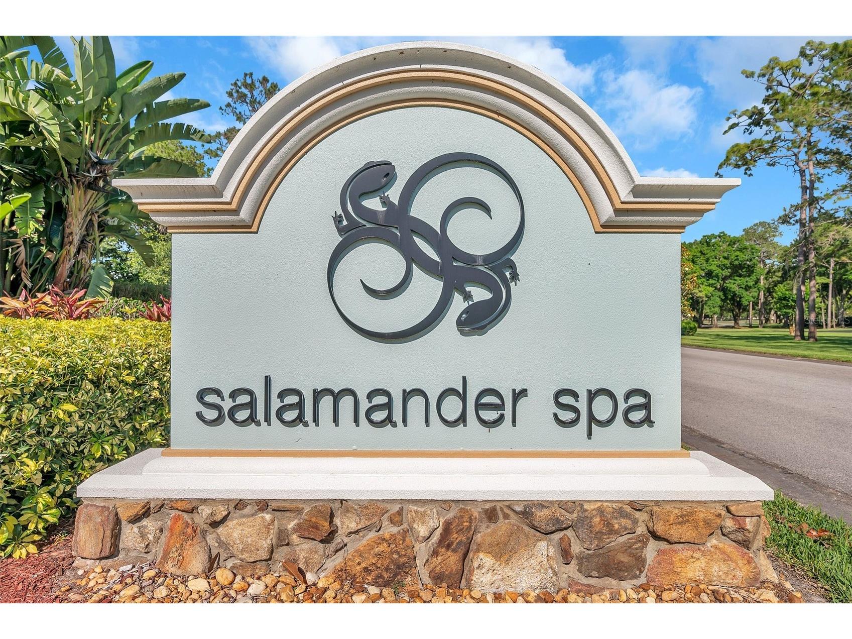 36750 Us Highway 19 N #27101 Palm Harbor FL 34684 TB8479187 image73