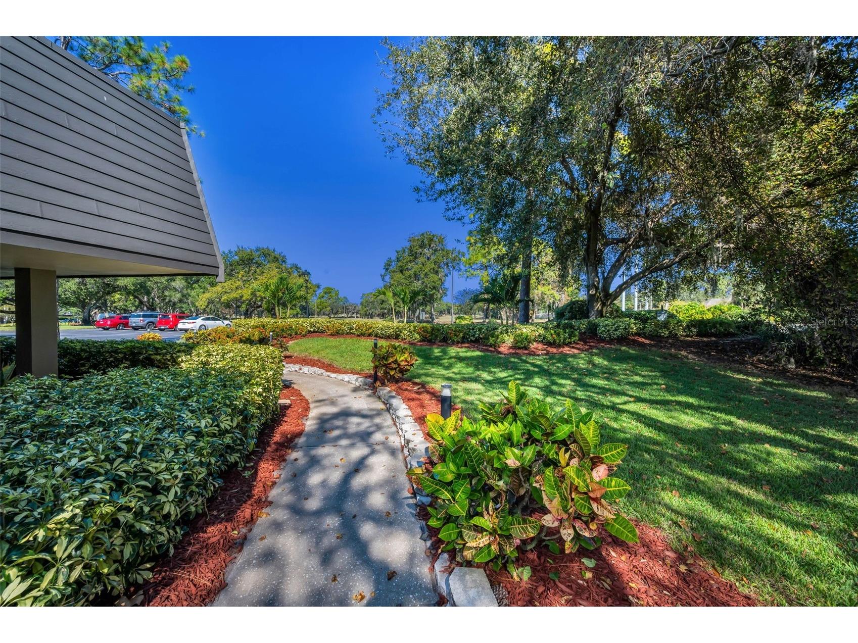 36750 Us Highway 19 N #28-2017 Palm Harbor FL 34684 TB8446825 image36