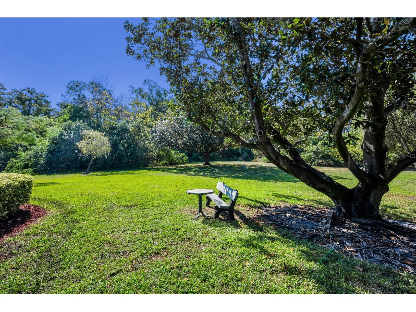 36750 Us Highway 19 N #28-2017 Palm Harbor FL 34684 TB8446825 image40