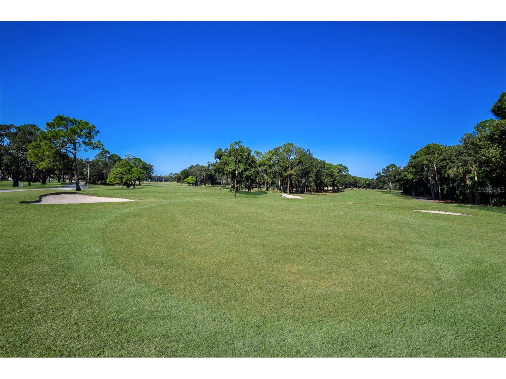 36750 Us Highway 19 N #28-2017 Palm Harbor FL 34684 TB8446825 image43