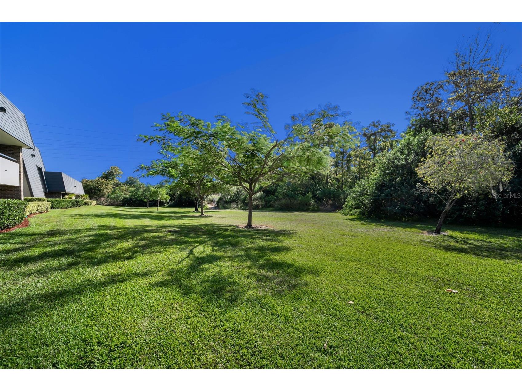 36750 Us Highway 19 N #28-2017 Palm Harbor FL 34684 TB8446825 image45