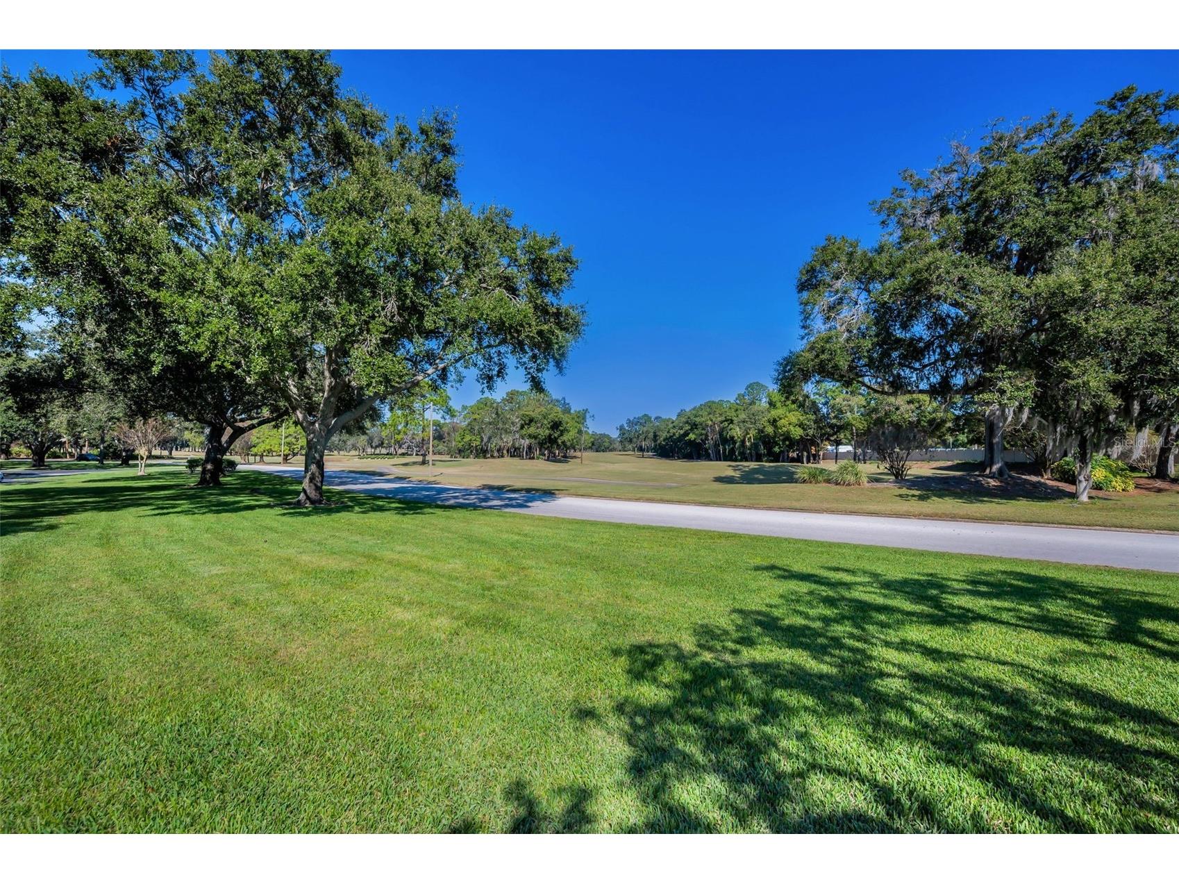 36750 Us Highway 19 N #28-2017 Palm Harbor FL 34684 TB8446825 image51