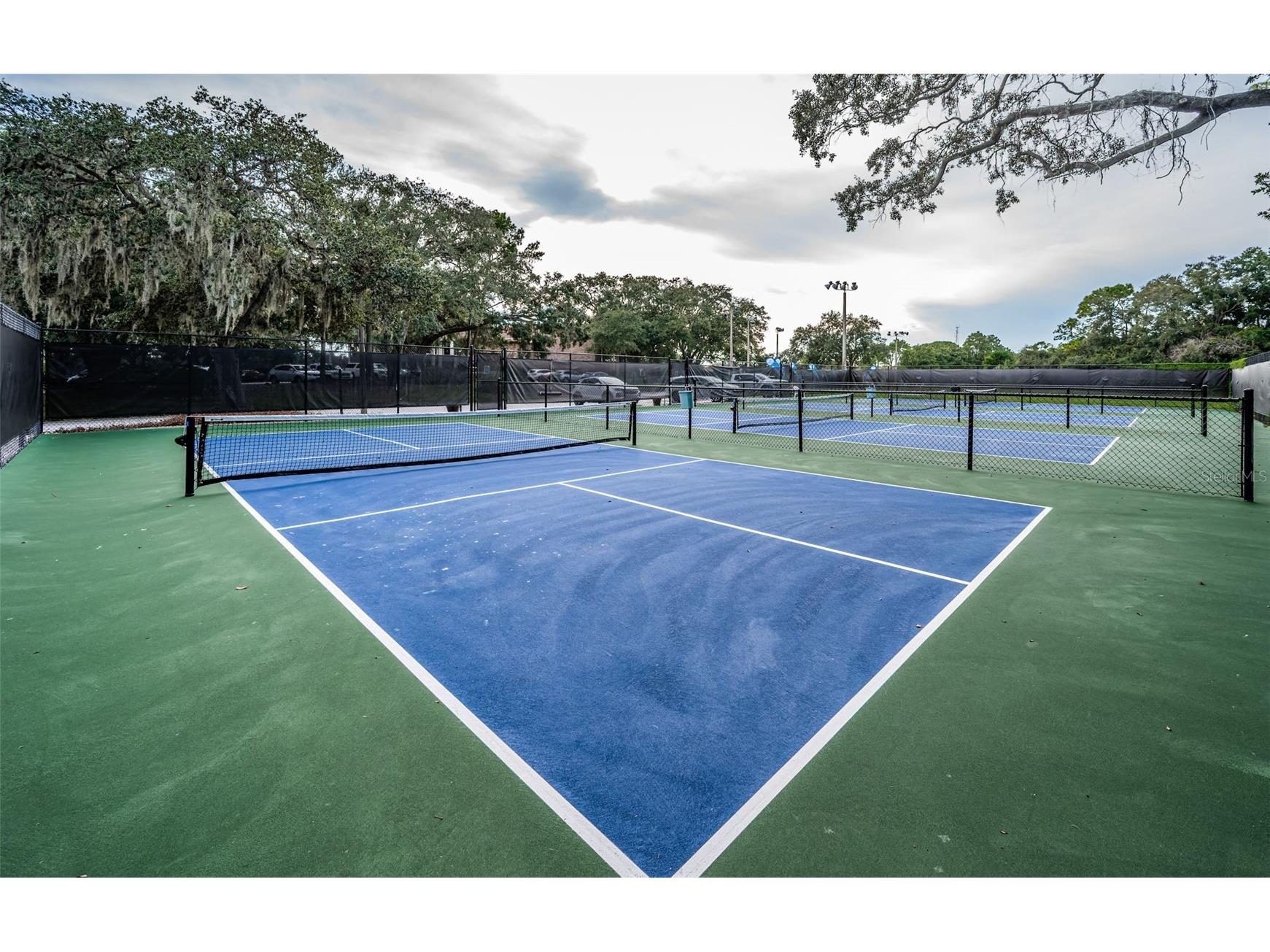 36750 Us Highway 19 N #28-2017 Palm Harbor FL 34684 TB8446825 image56