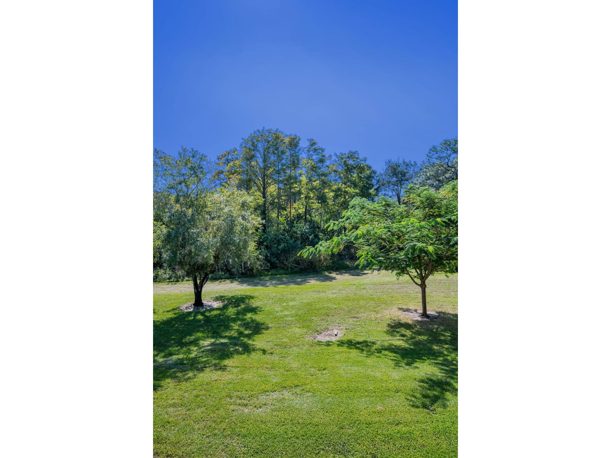 36750 Us Highway 19 N #28-2017 Palm Harbor FL 34684 TB8446825 image63