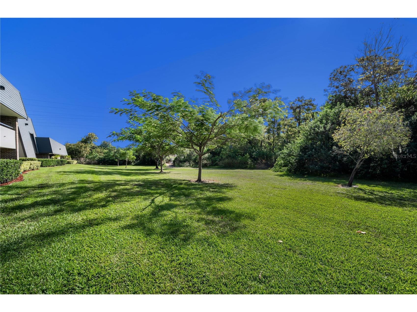 36750 Us Highway 19 N #28-2017 Palm Harbor FL 34684 TB8446825 image65