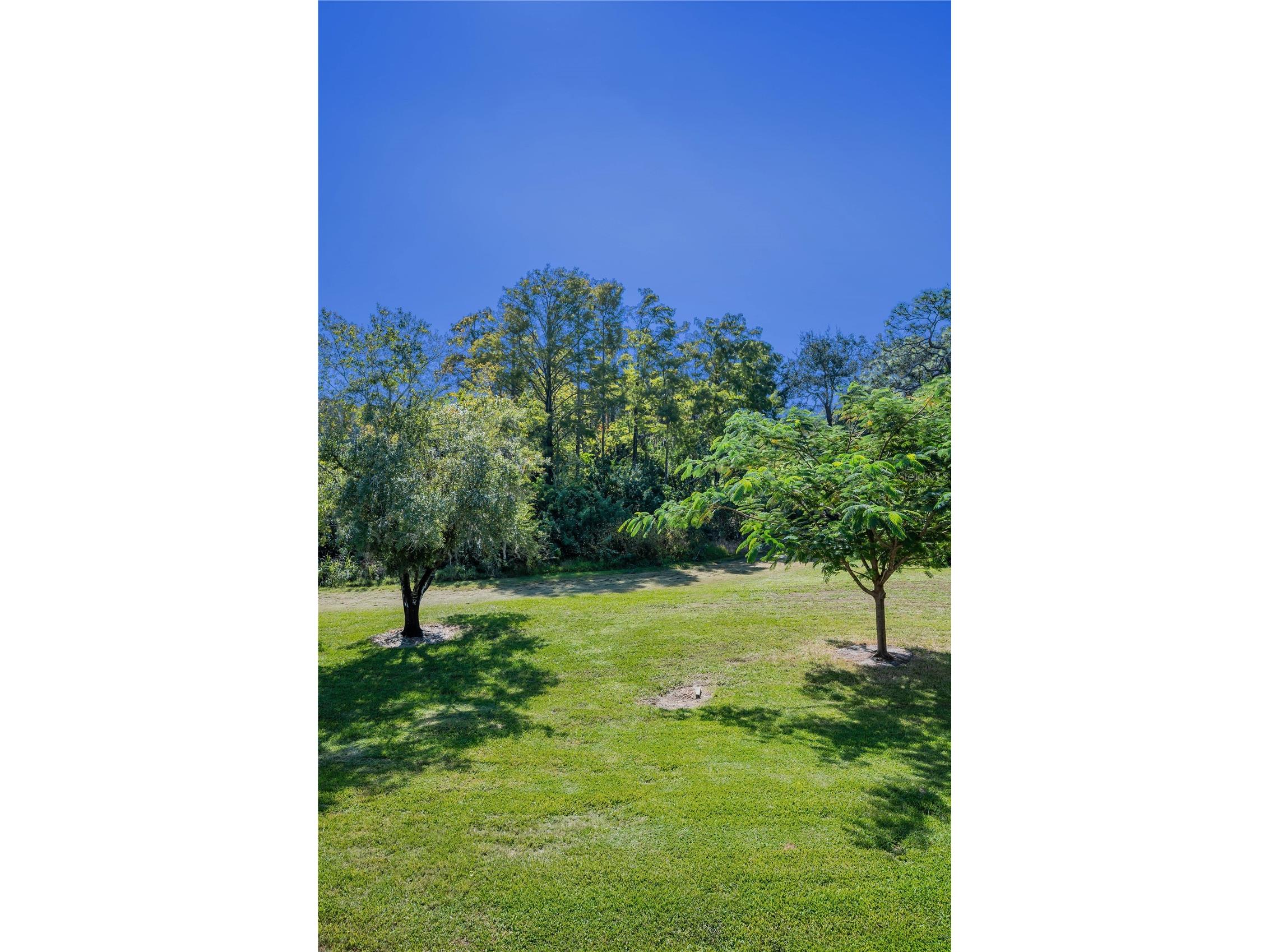 36750 Us Highway 19 N #28-2017 Palm Harbor FL 34684 TB8446825 image67