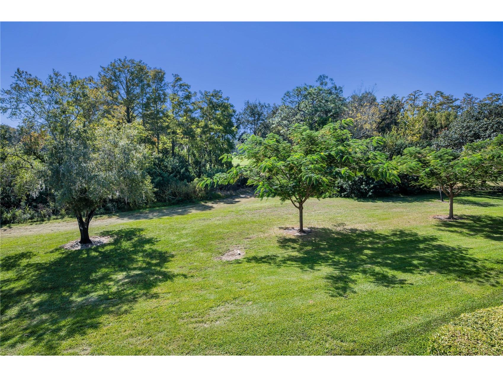 36750 Us Highway 19 N #28-2017 Palm Harbor FL 34684 TB8446825 image68