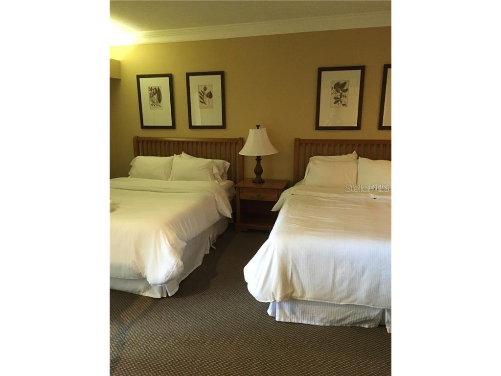 36750 Us Highway 19 N #2879 Palm Harbor FL 34684 U8237797 image10