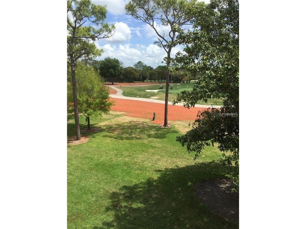 36750 Us Highway 19 N #2879 Palm Harbor FL 34684 U8237797 image15