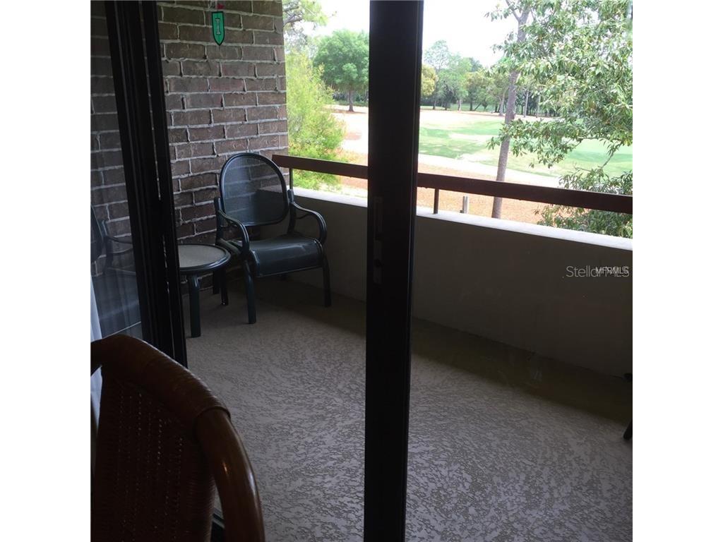 36750 Us Highway 19 N #2879 Palm Harbor FL 34684 U8237797 image16