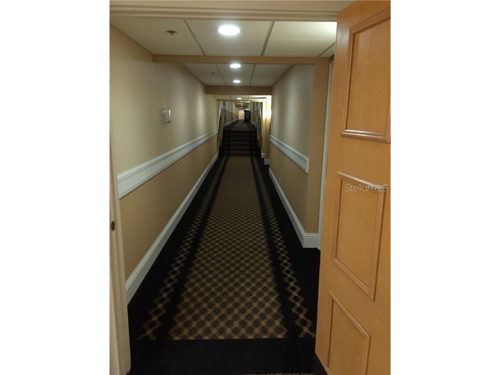 36750 Us Highway 19 N #2879 Palm Harbor FL 34684 U8237797 image19