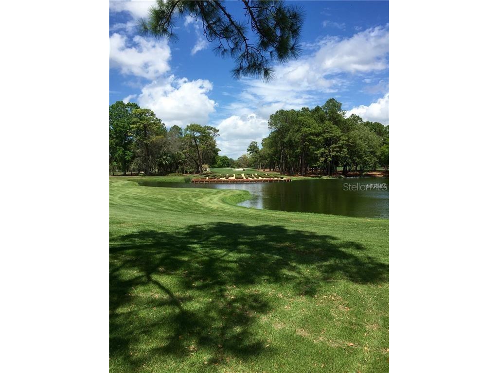 36750 Us Highway 19 N #2879 Palm Harbor FL 34684 U8237797 image3