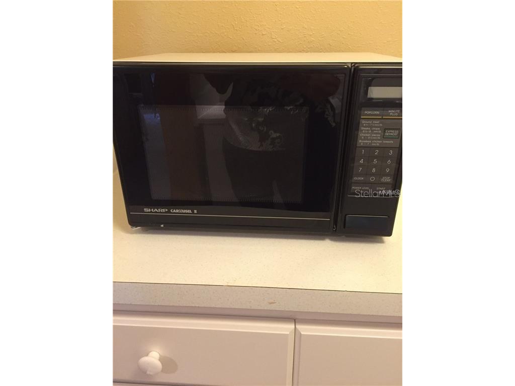 36750 Us Highway 19 N #2879 Palm Harbor FL 34684 U8237797 image9