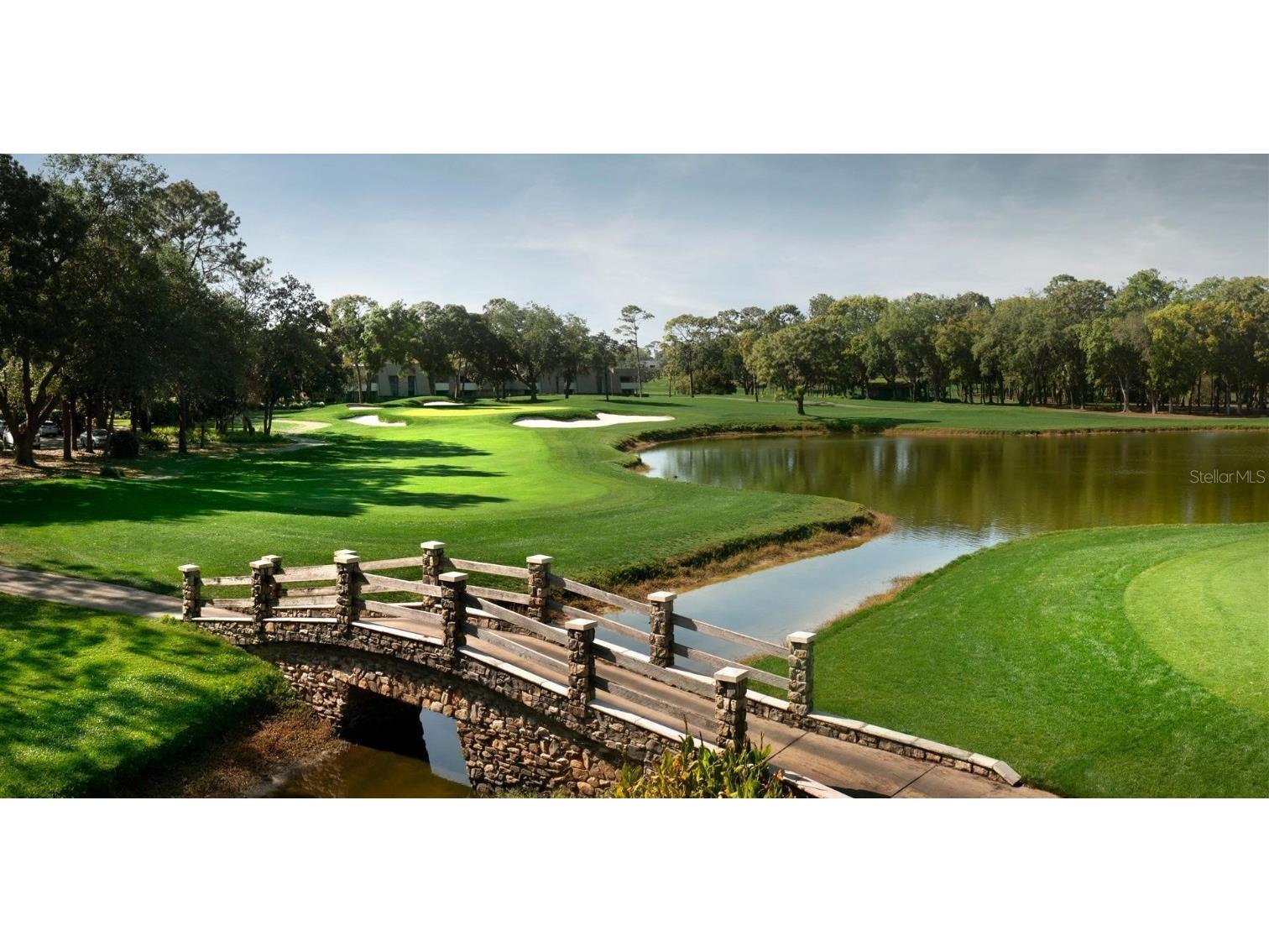 36750 Us Highway 19 N #3-110 Palm Harbor FL 34683 TB8444708 image1