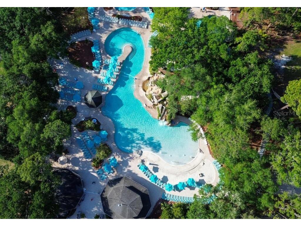 36750 Us Highway 19 N #3-110 Palm Harbor FL 34683 TB8444708 image12