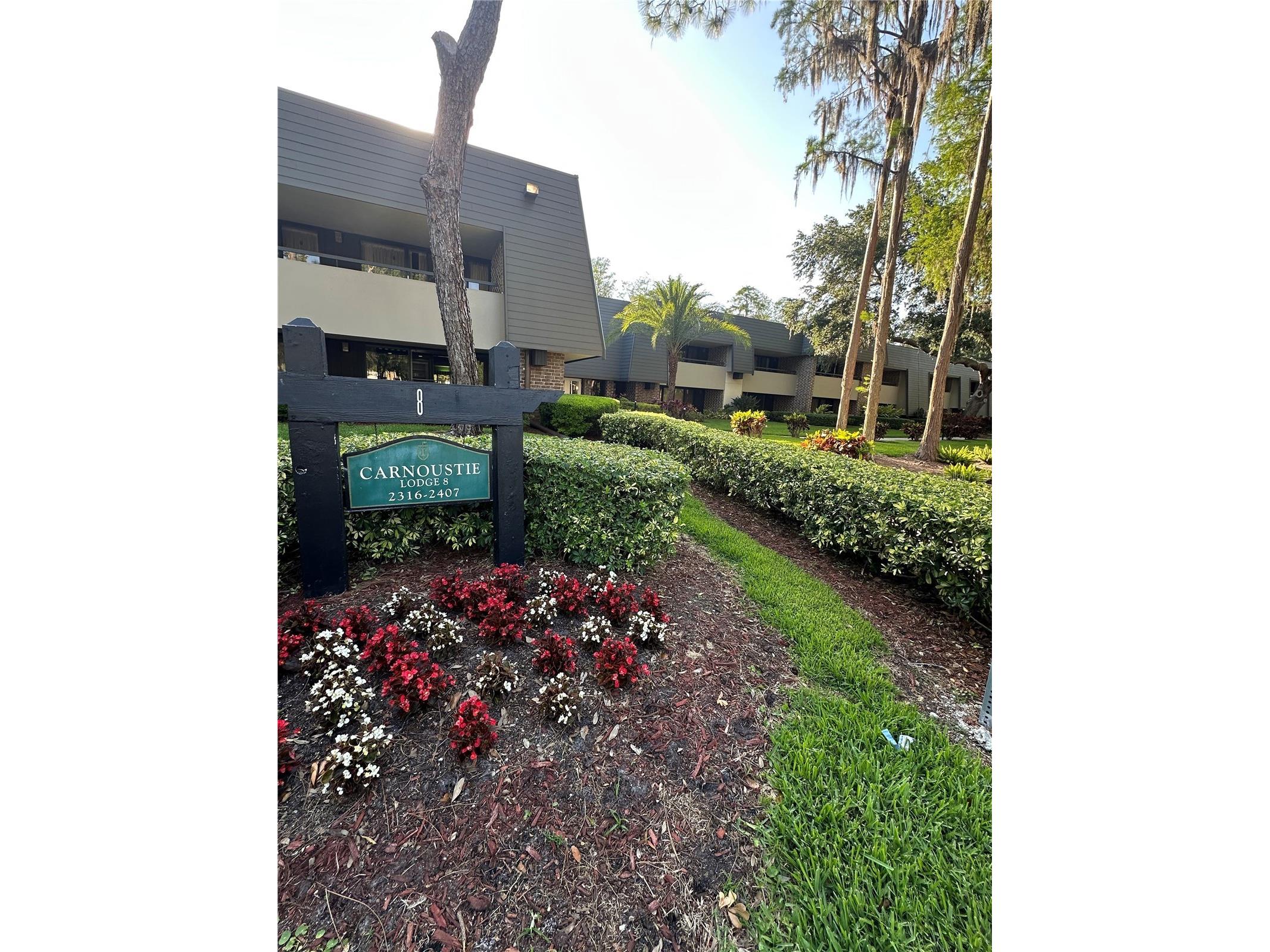 36750 Us Highway 19 N #2328 Palm Harbor FL 34684 TB8496420 image1
