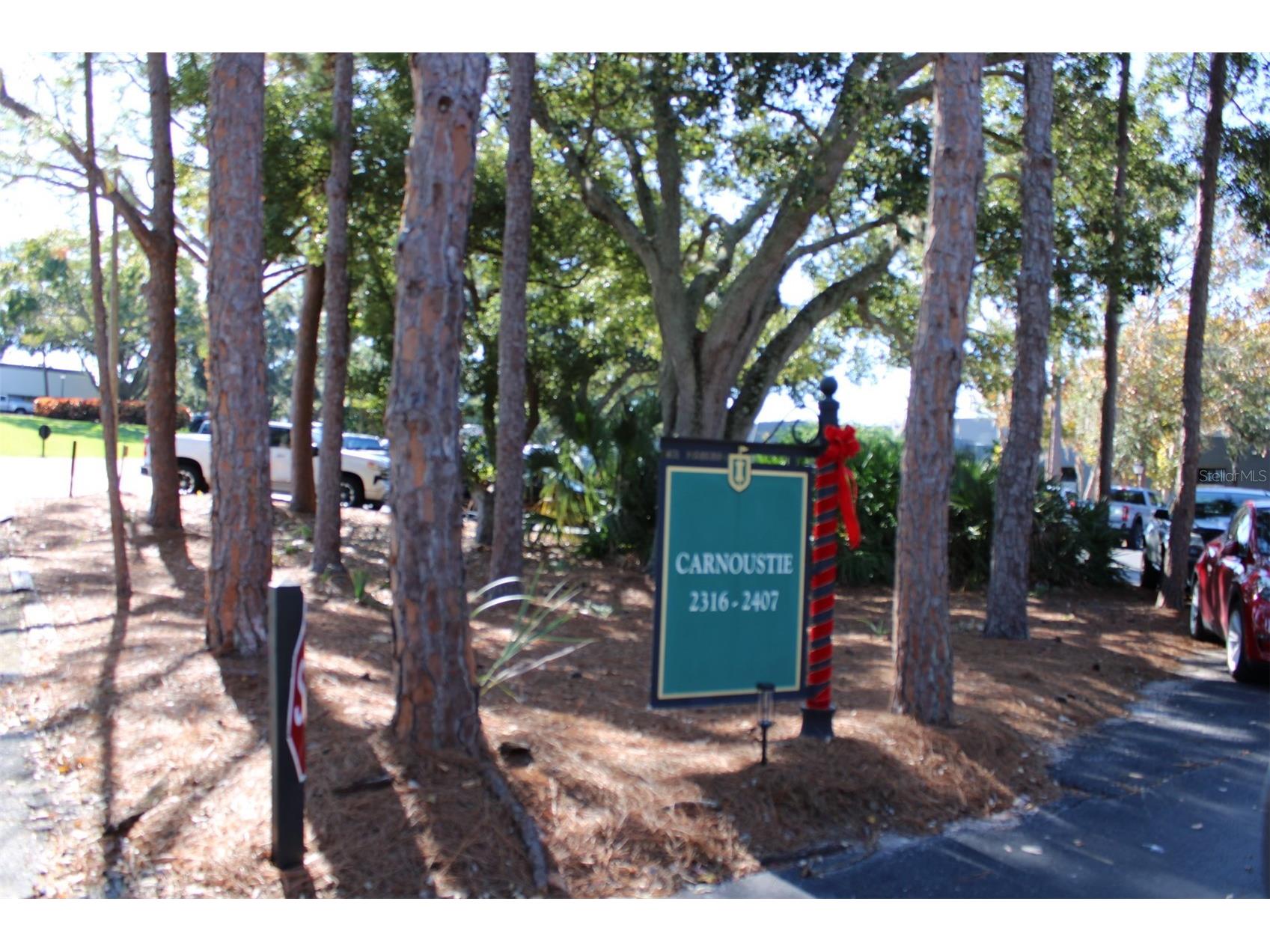 36750 Us Highway 19 N #3-203 Palm Harbor FL 34683 TB8462725 image2