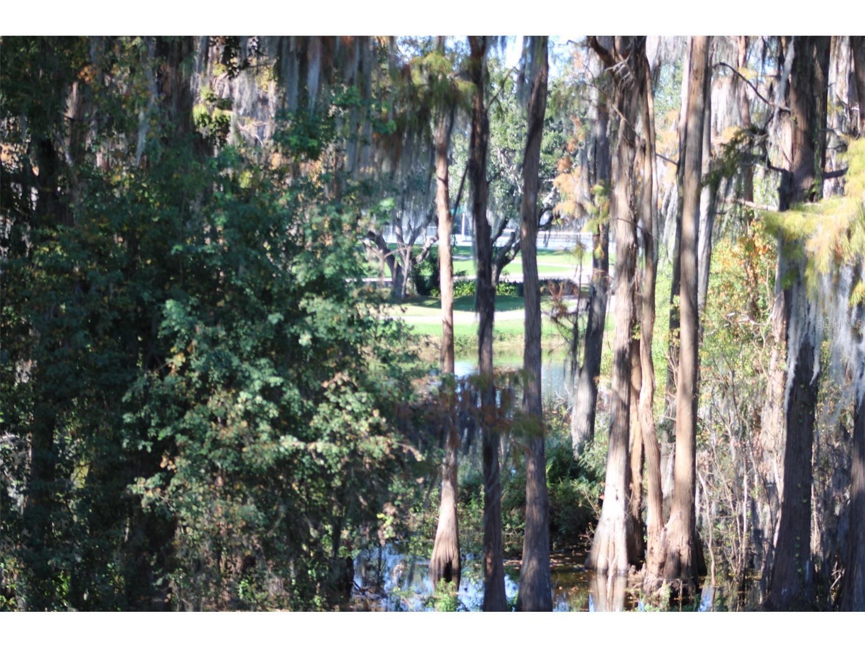 36750 Us Highway 19 N #3-203 Palm Harbor FL 34683 TB8462725 image40