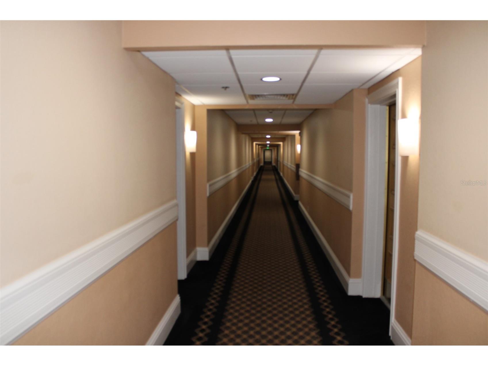 36750 Us Highway 19 N #3-203 Palm Harbor FL 34683 TB8462725 image42