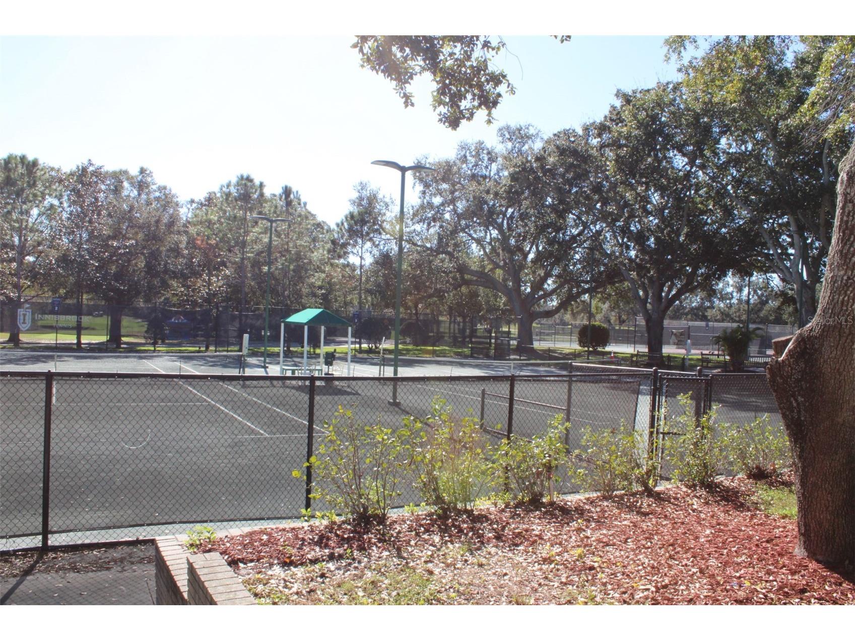 36750 Us Highway 19 N #3-203 Palm Harbor FL 34683 TB8462725 image47