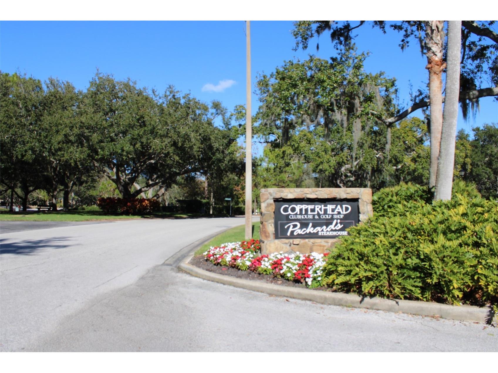 36750 Us Highway 19 N #3-203 Palm Harbor FL 34683 TB8462725 image49