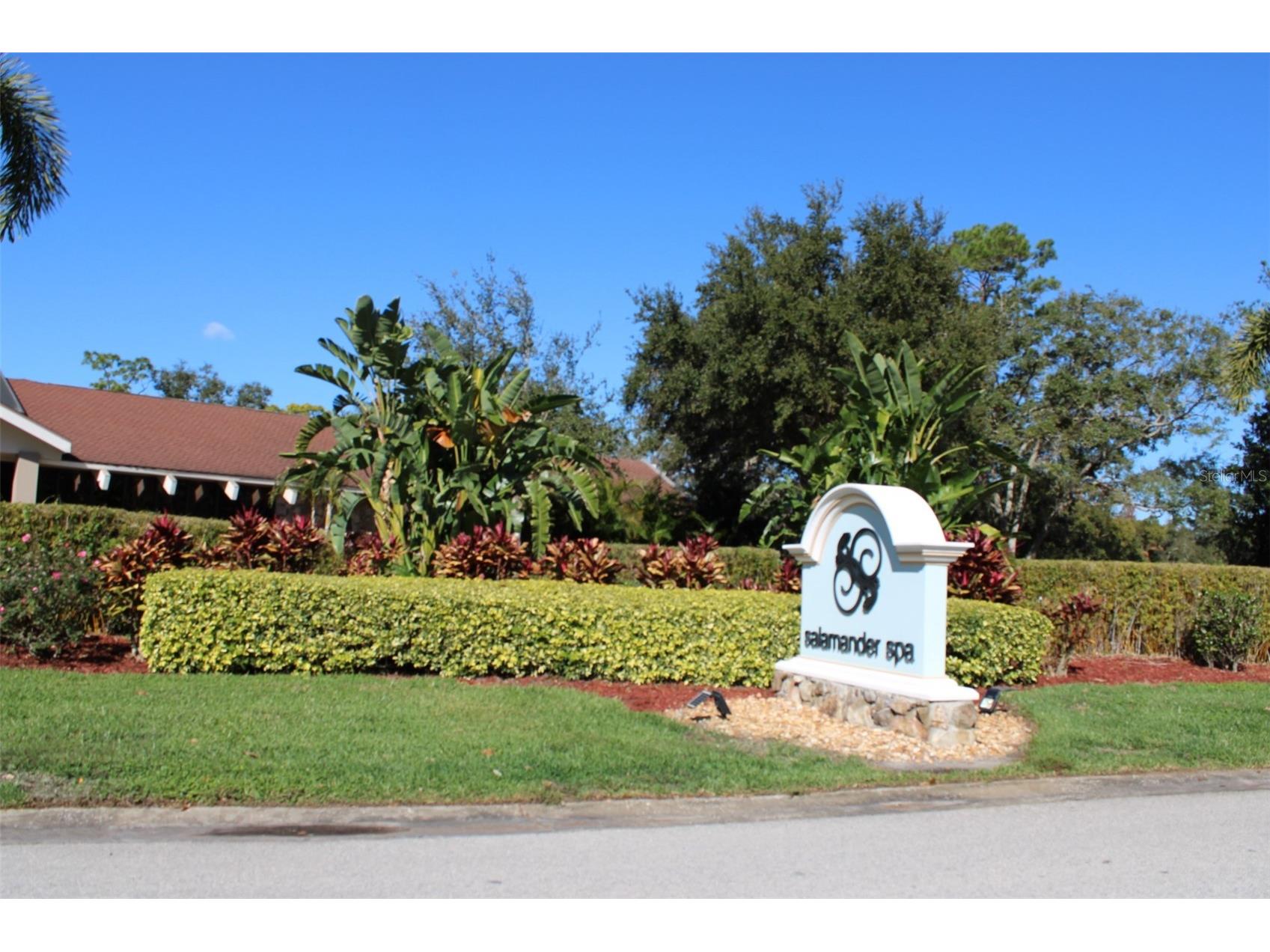 36750 Us Highway 19 N #3-203 Palm Harbor FL 34683 TB8462725 image52
