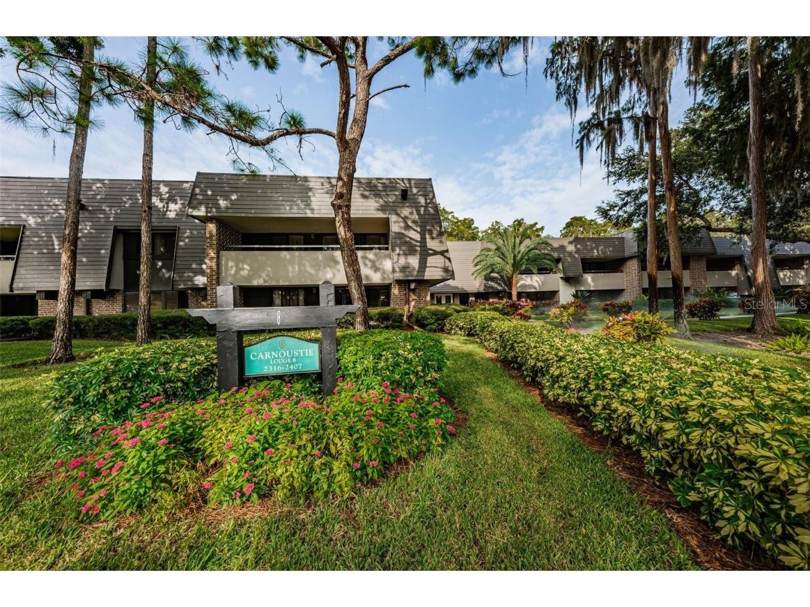 36750 Us Highway 19 N #3-209 Palm Harbor FL 34684 U8215979 image1