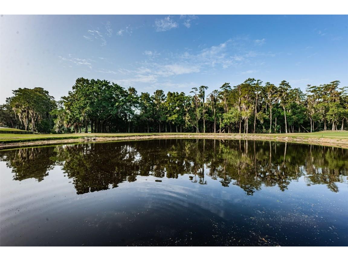 36750 Us Highway 19 N #3-209 Palm Harbor FL 34684 U8215979 image24